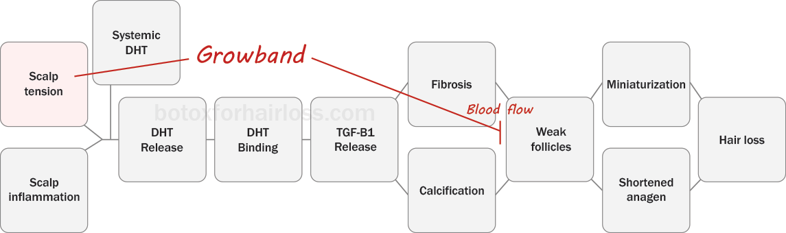 How Growband works
