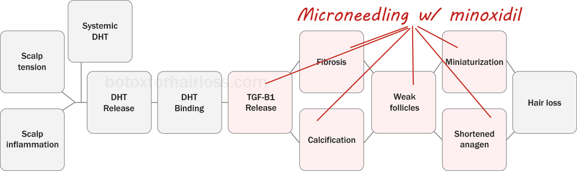 How microneedling with minoxidil works