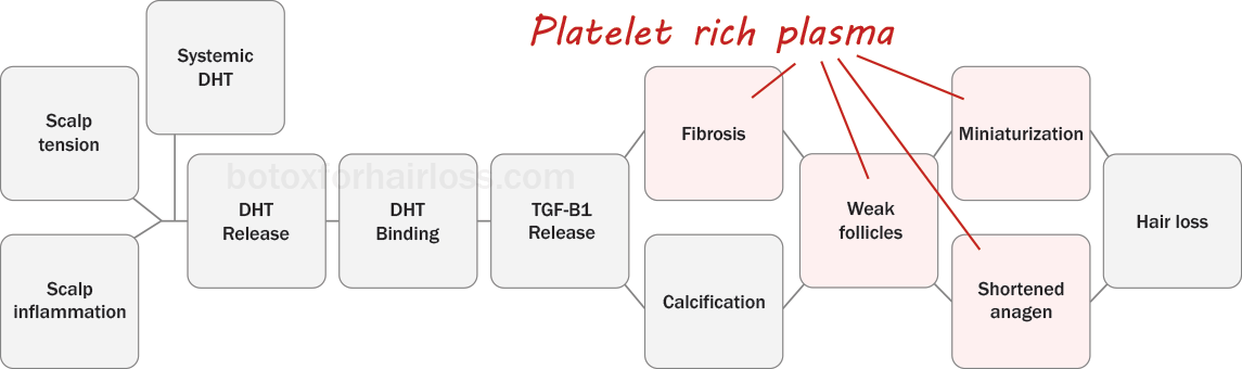 How PRP works