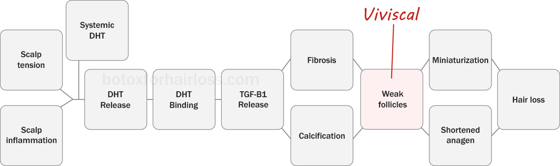 How Viviscal works